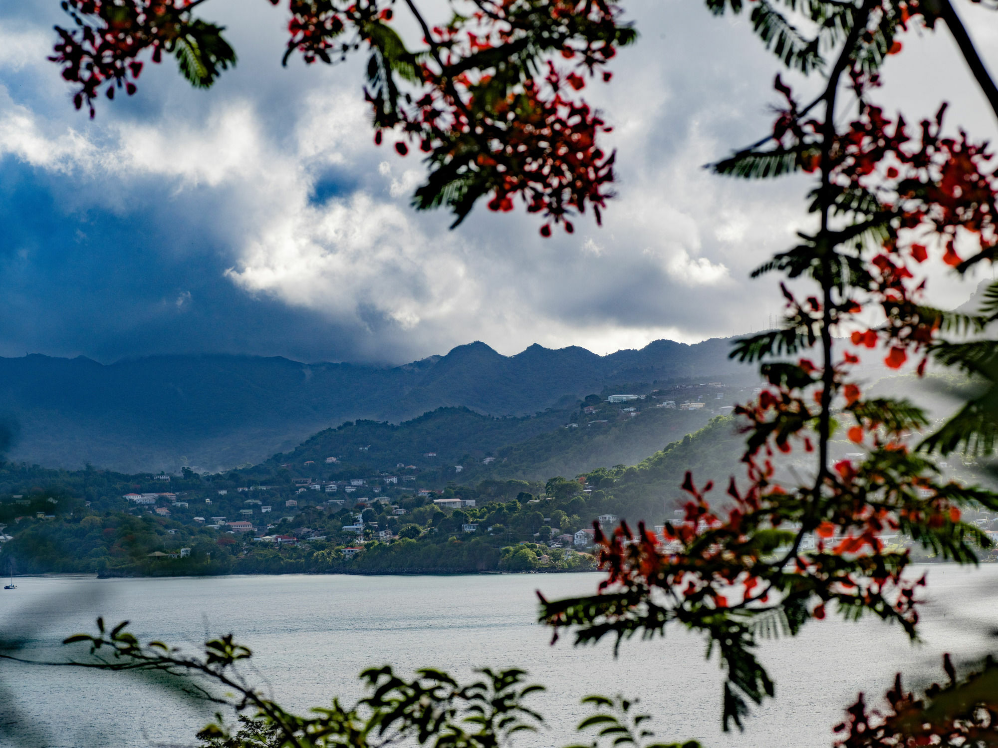Mount Cinnamon Grenada St. George's Εξωτερικό φωτογραφία